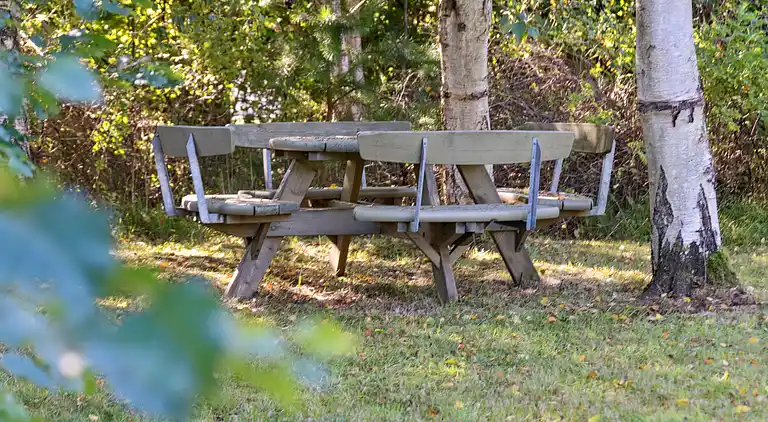 Ferienhaus auf Naturgrund 800 m von Nordsee