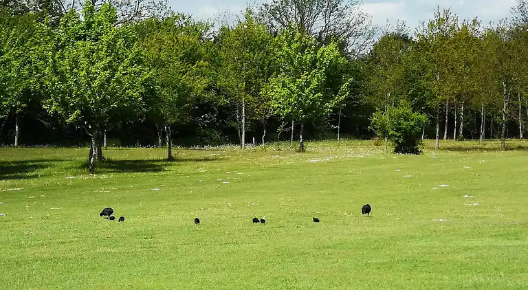 Sommerhus i Karrebæksminde