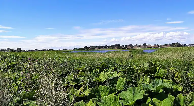 Sommerhus i Karrebæksminde