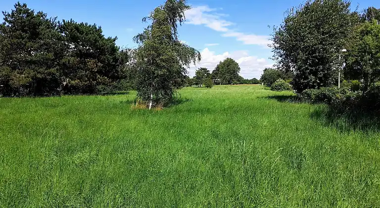 Sommerhus i Karrebæksminde