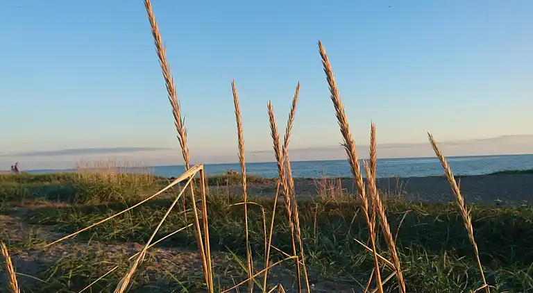 Sommerhus i Karrebæksminde