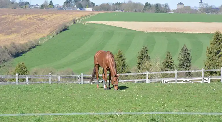 Farm house in Ouffet
