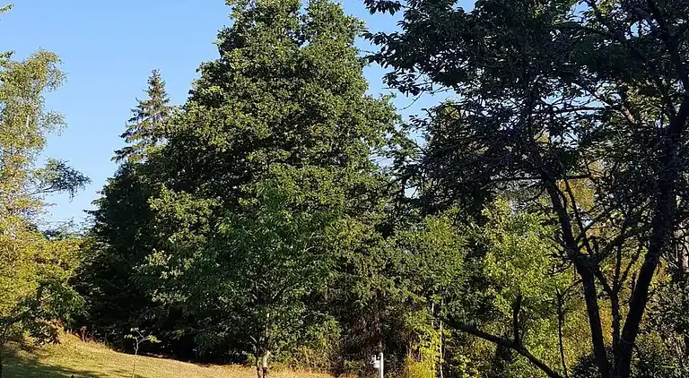 Ferienhaus in Hemschlar