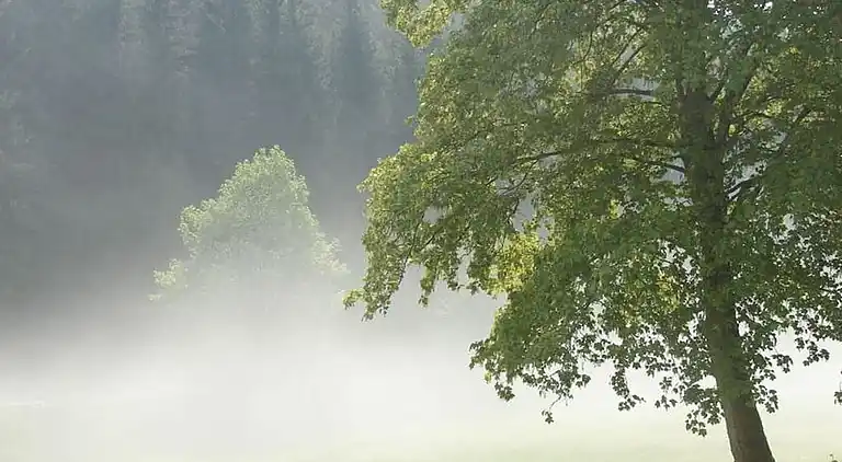 Ferienhaus in Hemschlar