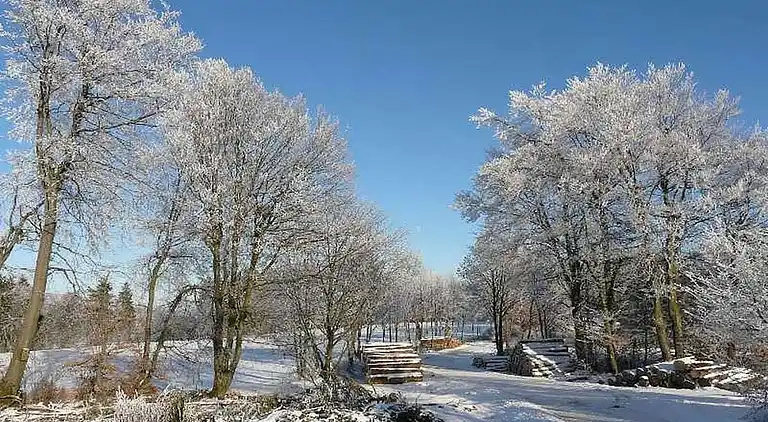 Ferienhaus in Hemschlar