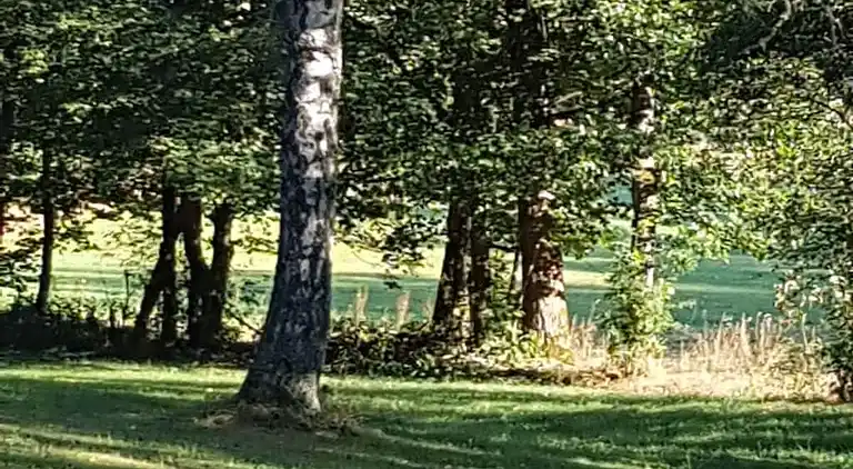 Ferienhaus in Hemschlar