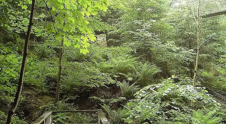 Ferienhaus in Hemschlar