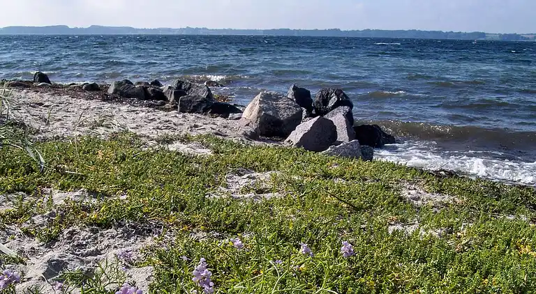 Sommerhus i Skovmose