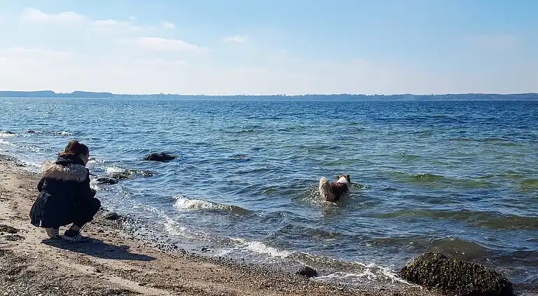 Sommerhus i Skovmose