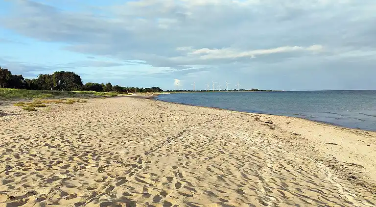 Sommerhus i Skovmose