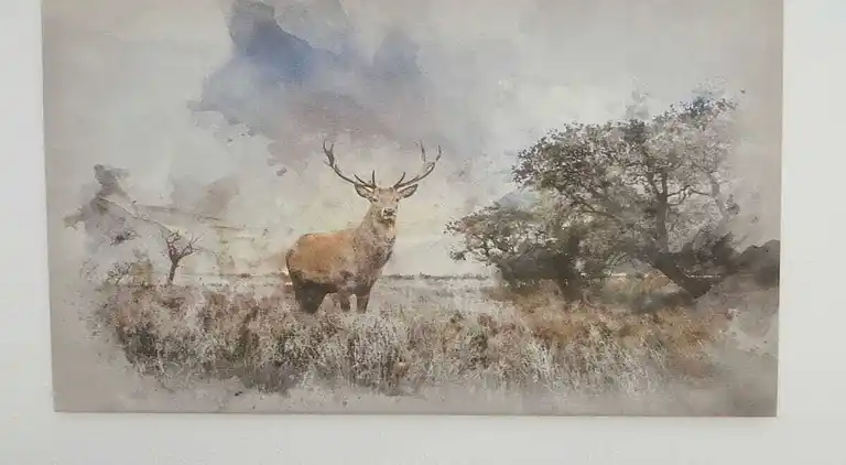 Holiday home in Unterlüß