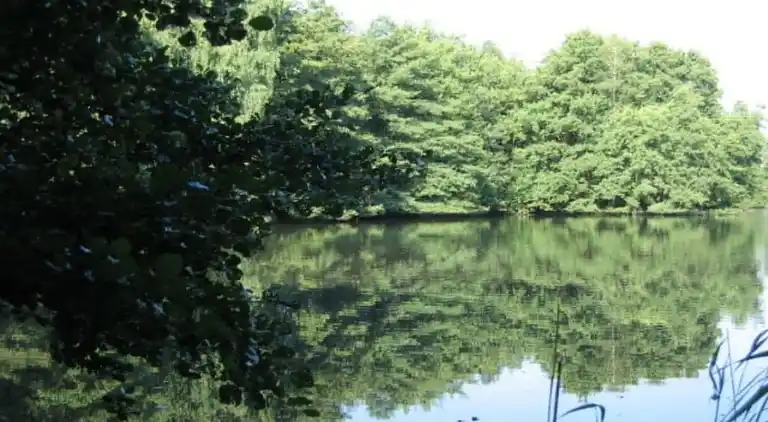 Holiday home in Unterlüß