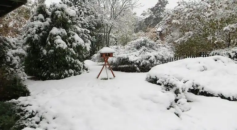 Holiday home in Unterlüß