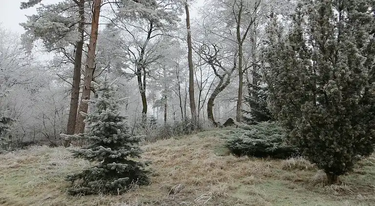 Holiday home in Unterlüß