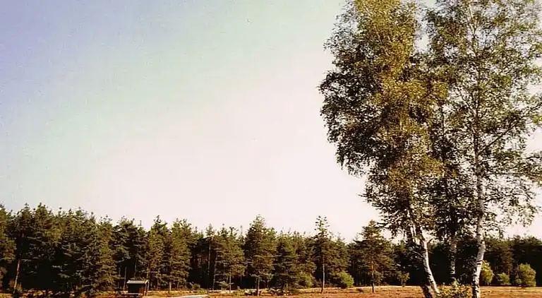 Holiday home in Unterlüß