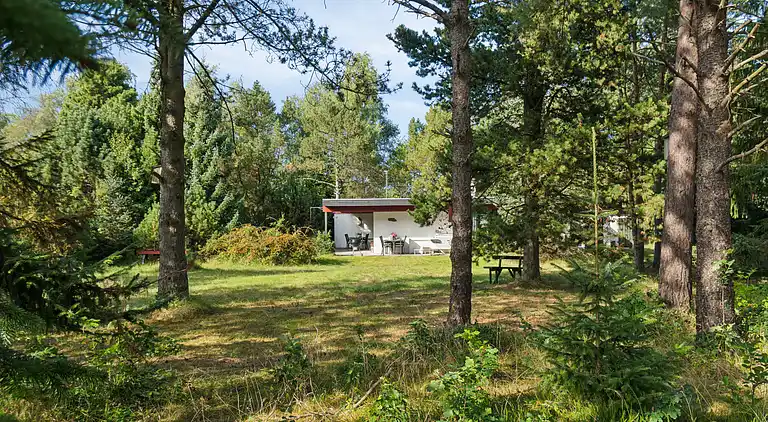 Nyistandsat sommerhus beliggende på naturgrund