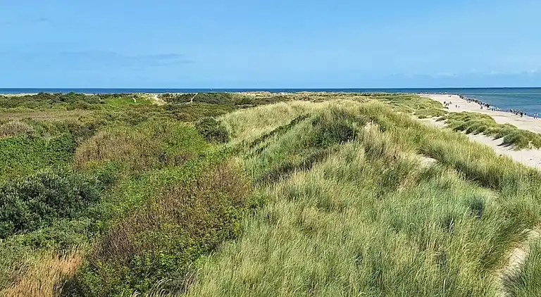 Feriebolig i Skagen