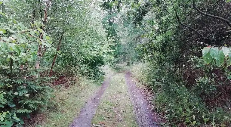 Sommerhus ved Handrup Strand
