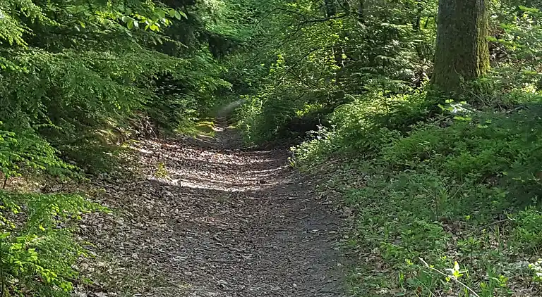 Sommerhus ved Handrup Strand