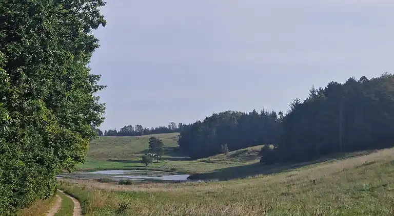 Sommerhus ved Handrup Strand
