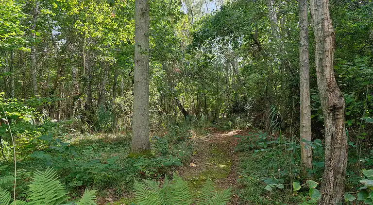 Gemütliches Ferienhaus nahe Dybesø Natur