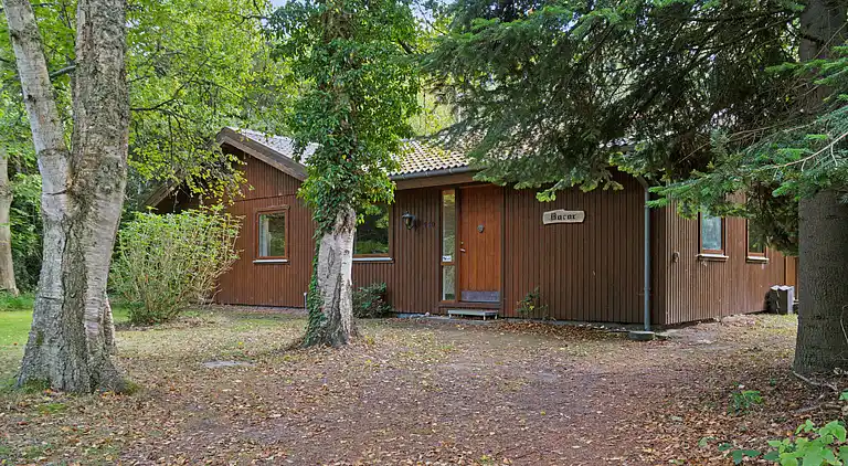 Gemütliches Ferienhaus nahe Dybesø Natur