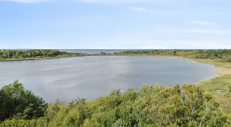 Gemütliches Ferienhaus nahe Dybesø Natur