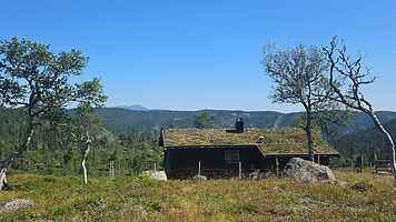 Zauberhafte Aussicht - Unberührte Natur - Sommerweide