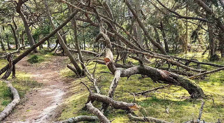 Holiday home in Gribskov