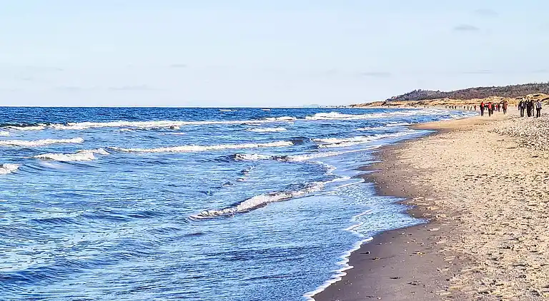 Holiday home in Gribskov