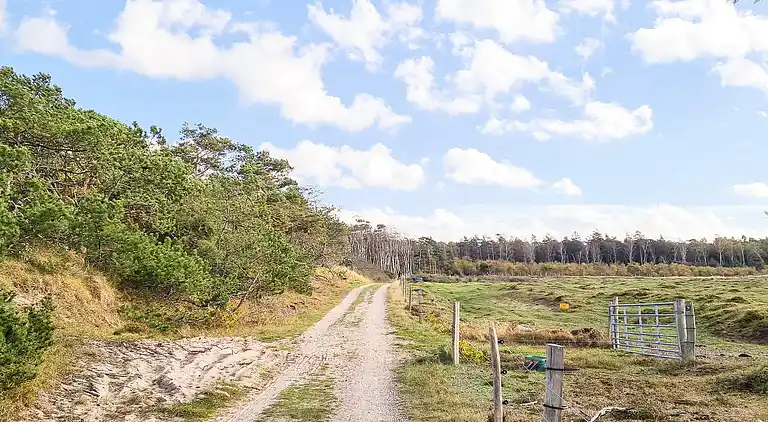 Holiday home in Gribskov