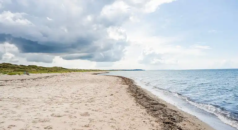Holiday home in Gribskov