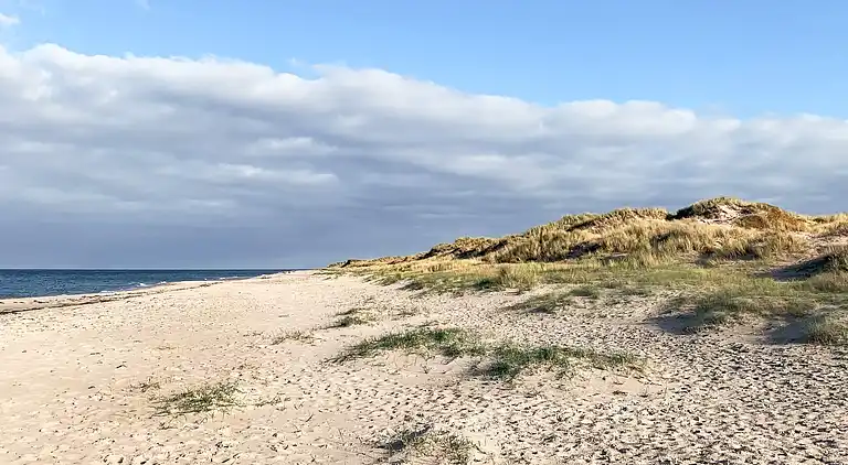 Holiday home in Gribskov