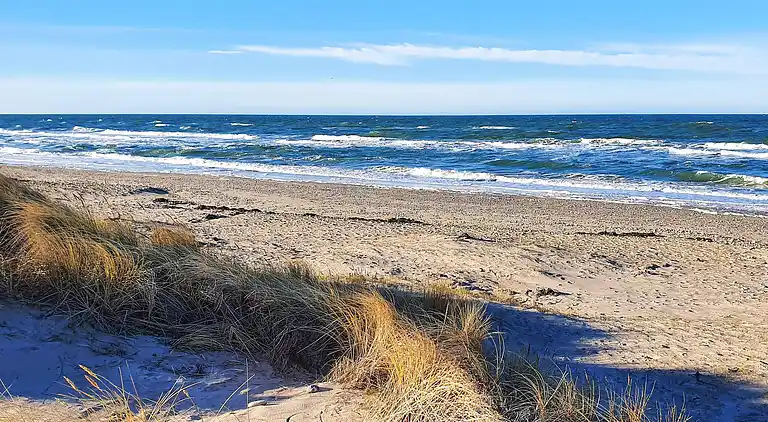 Holiday home in Gribskov