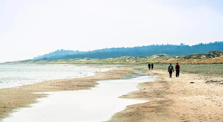 Holiday home in Gribskov