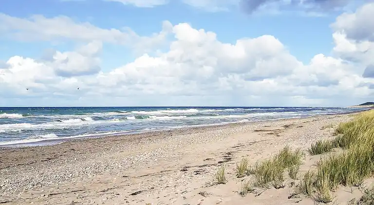 Holiday home in Gribskov