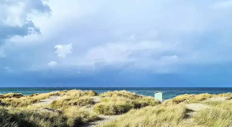 Holiday home in Gribskov