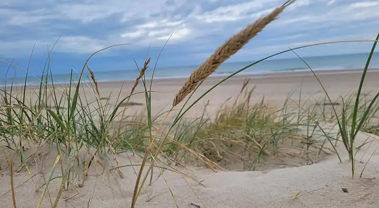 Holiday home in Bratten Strand