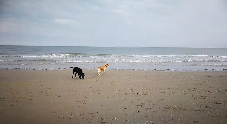 Holiday home in Bratten Strand