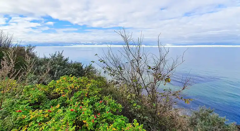 Semesterbostad i Tisvilde