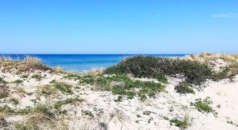 Semesterbostad i Tisvilde