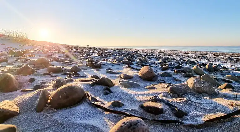 Semesterbostad i Tisvilde