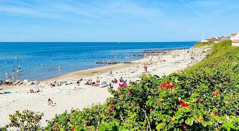 Semesterbostad i Tisvilde