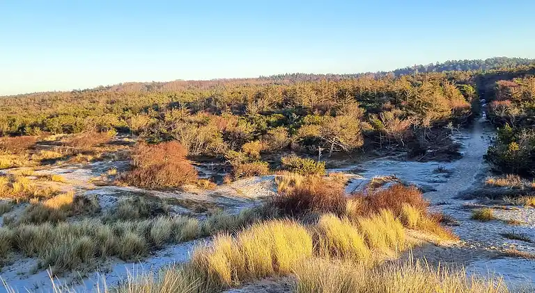 Semesterbostad i Tisvilde