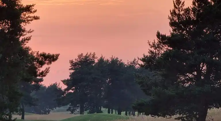 Sommerhus i Kristianstad Ö