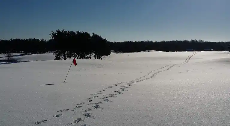Sommerhus i Kristianstad Ö
