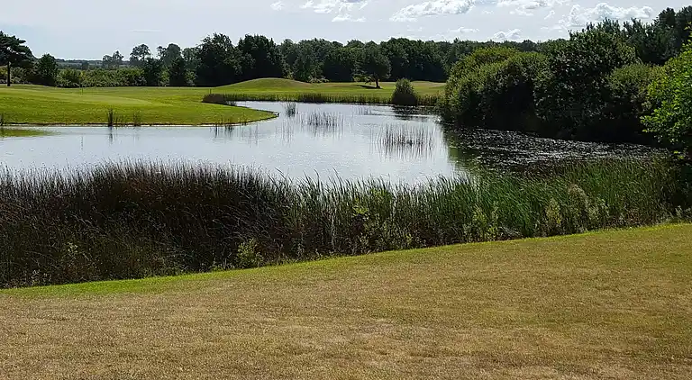 Sommerhus i Kristianstad Ö