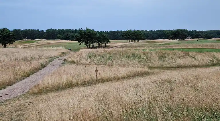 Sommerhus i Kristianstad Ö