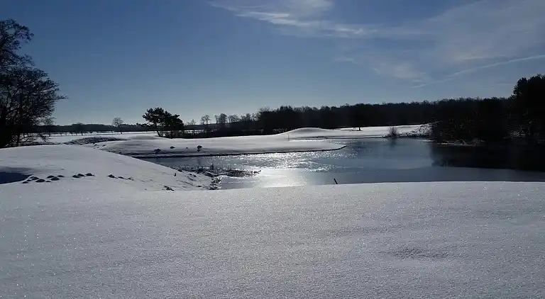 Sommerhus i Kristianstad Ö