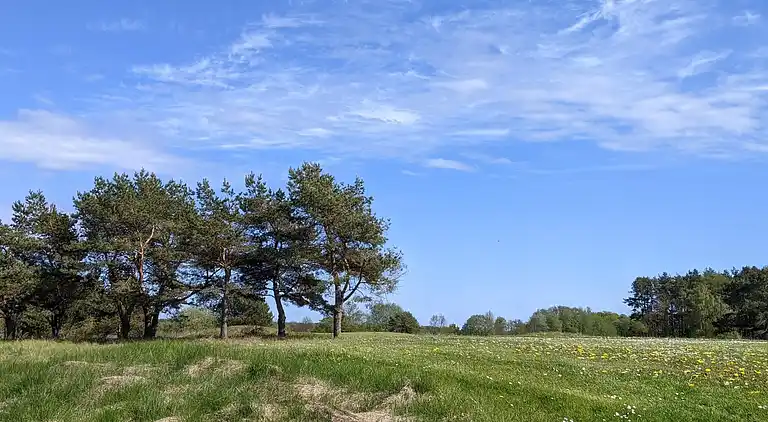 Sommerhus i Kristianstad Ö